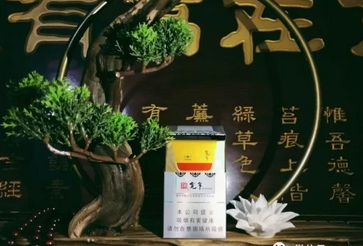 山东烟草什么时候招聘考试(山东烟草招聘考试时间)