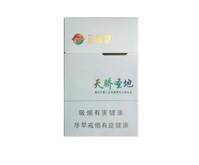 户外烟花音乐视频下载