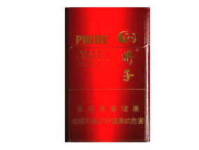 可收纳户外烟囱的架子